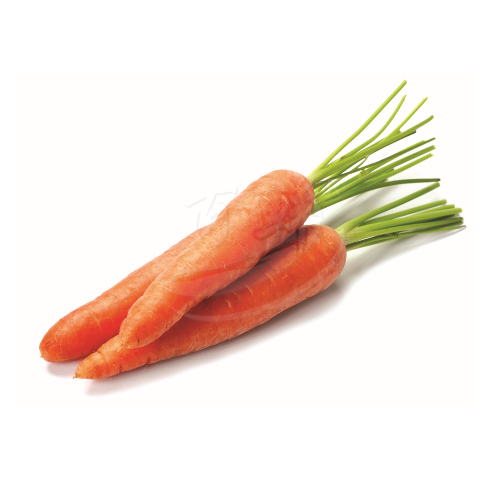 Carrot (Lobak Merah) 红萝卜