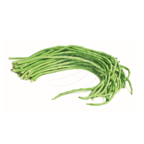 Long Bean (Kacang Panjang) 菜豆