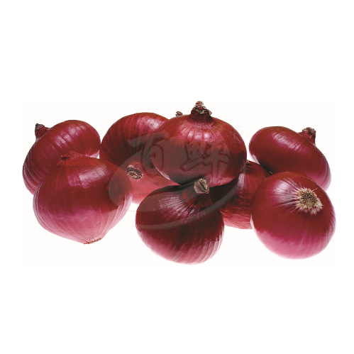 Red Onion (Bawang Merah) 大红葱