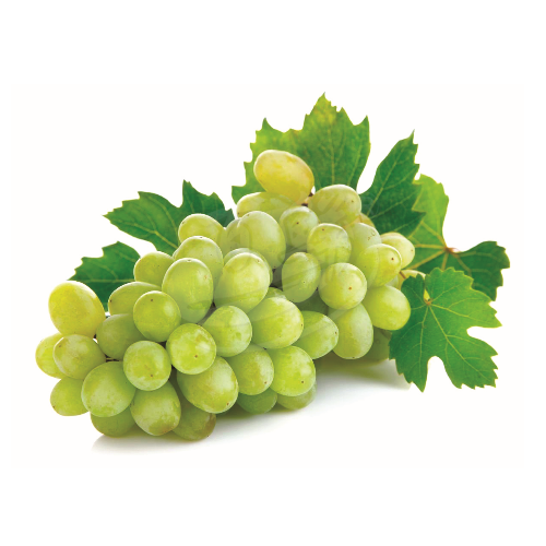 Green Grapes (Anggur Hijau) 青葡萄