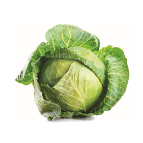 Round Cabbage (Kobis Bulat) 圆包菜