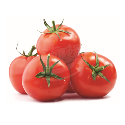 Tomato 番茄