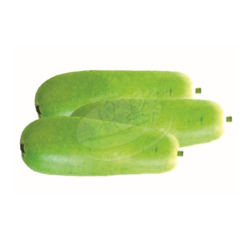 Bottle Gourd (Labu Air) 白蒲