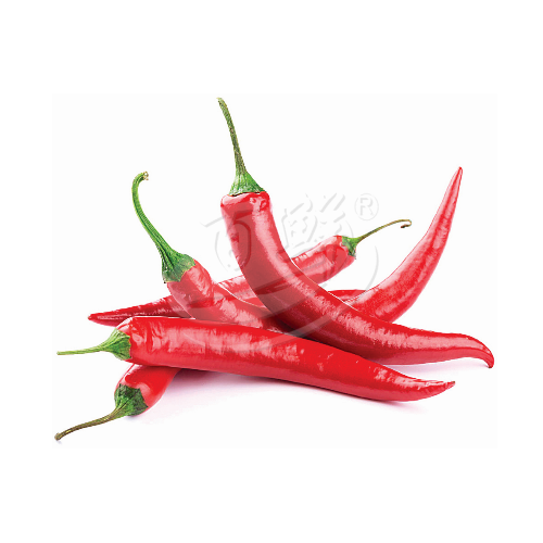 Red Chilli (Cili Merah) 红辣椒