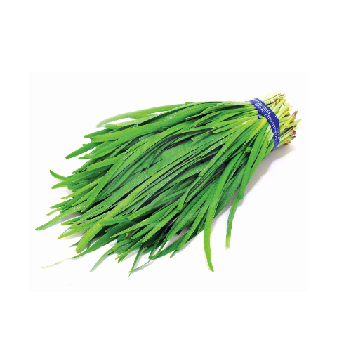 Chive (Daun Kuchai) 韭菜