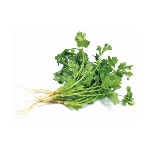 Coriander (Daun Ketumbar) 芫荽