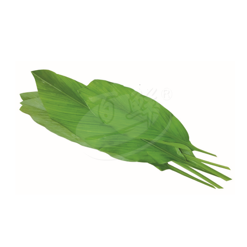 Turmeric Leaves (Daun Kunyit) 黄姜叶