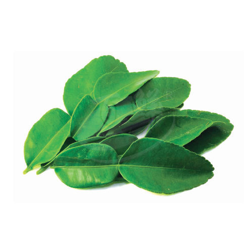 Lime Leaves (Daun Limau Purut) 大柑叶