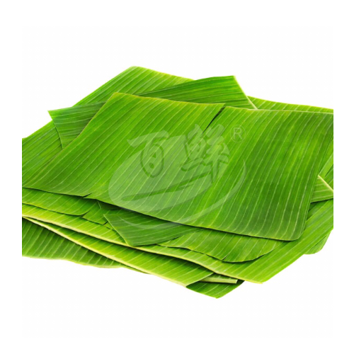 Banana Leaves (Daun Pisang) 香蕉叶