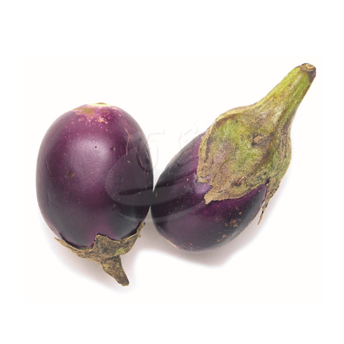 Round Brinjal (Terung Bulat) 圆茄