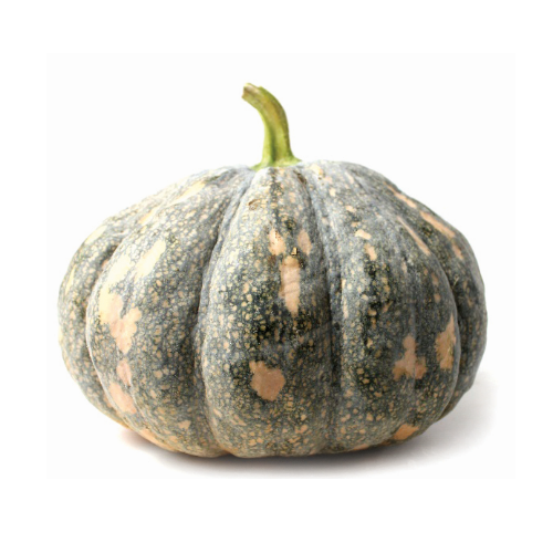 Pumpkin (Labu Manis) 金瓜
