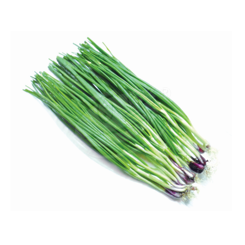 Spring Onion (Daun Bawang) 青葱