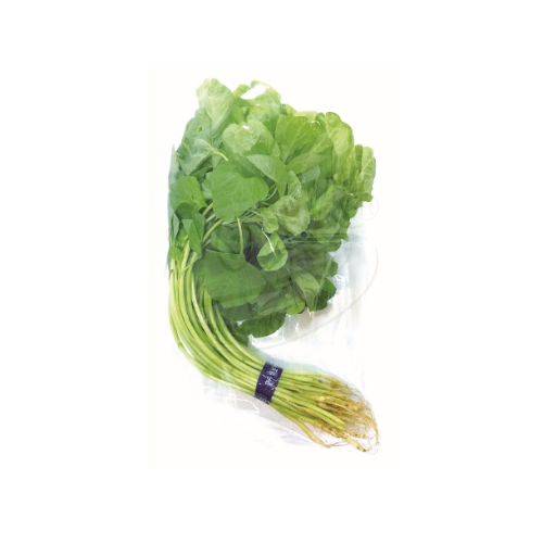Round Spinach (Bayam Bulat) 圆苋菜