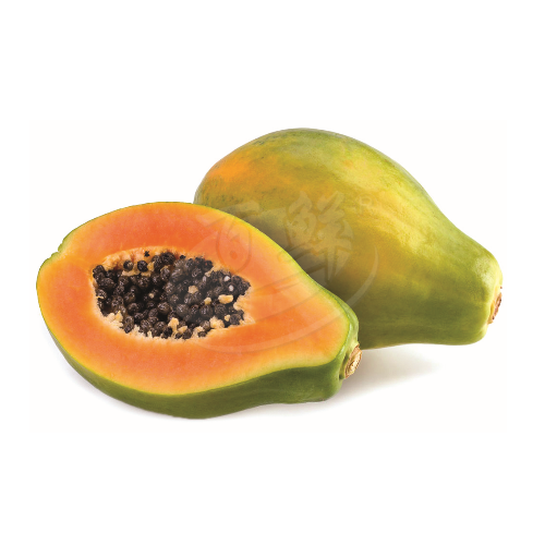 Papaya (Betik) 木瓜