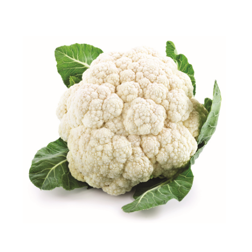 Cauliflower (Kobis Bunga) 白菜花