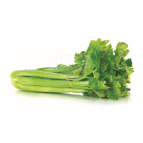Celery Table (Batang Sup) 西芹