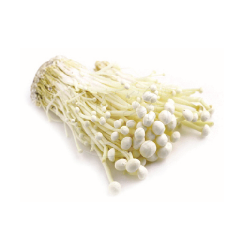 Enoki Mushroom (Cendawan Enoki) 金针菇