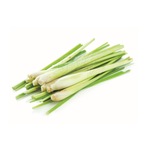 Lemongrass (Serai) 香茅