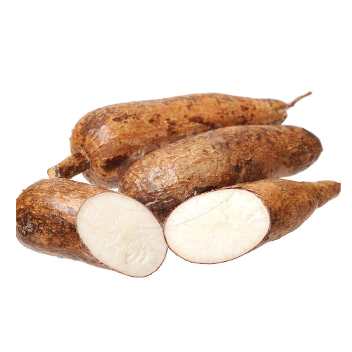 Tapioca (Ubi Kayu) 木薯