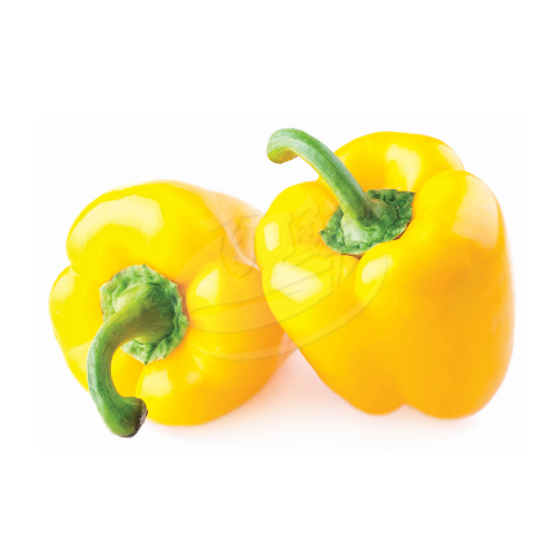 Yellow Capsicum (Bola Kuning) 黄灯笼椒