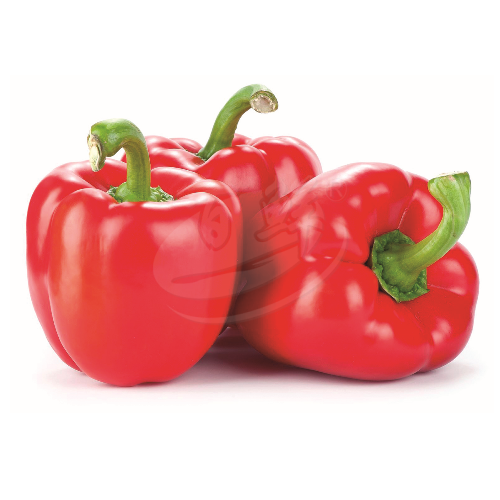 Red Capsicum (Bola Merah) 红灯笼椒