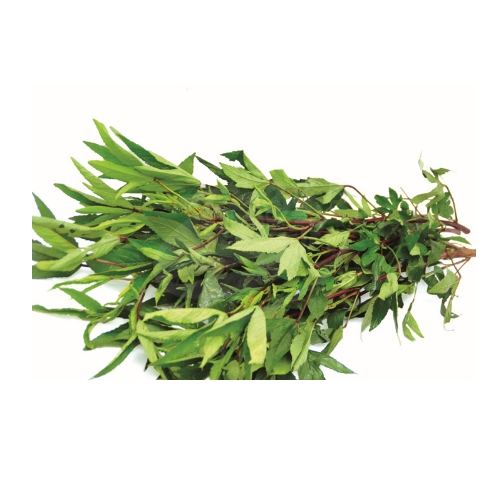 Asam Leaves (Daun Asam) 阿叁叶