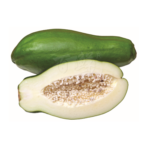 Green Papaya (Betik Hijau) 青木瓜