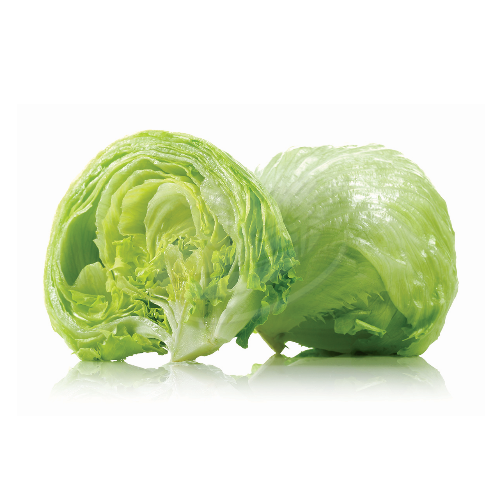 Iceberg Lettuce (Salad Bulat) 玻璃生菜