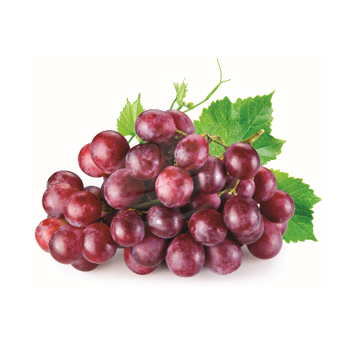 Red Grapes (Anggur Merah) 红葡萄