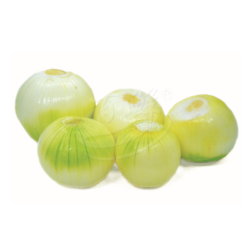 Holland Yellow Onion Peeled 去皮荷兰葱