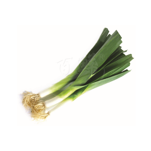 Leek 大蒜