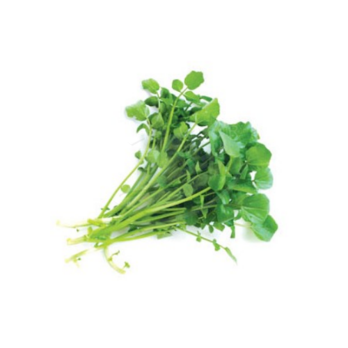 Pennywort (Daun Pegaga) 金钱莲